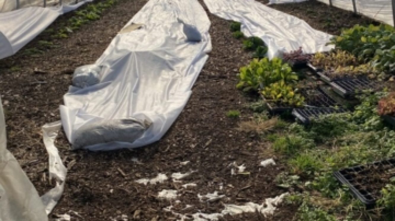 IMG_7448-768x1024-640x480